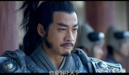 楚汉传奇电视剧演员表,群星闪耀演绎风云际会